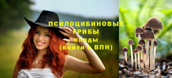 стаф Переславль-Залесский