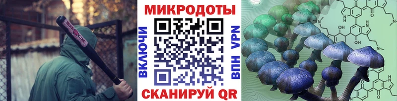 Галлюциногенные грибы мицелий  Мещовск 